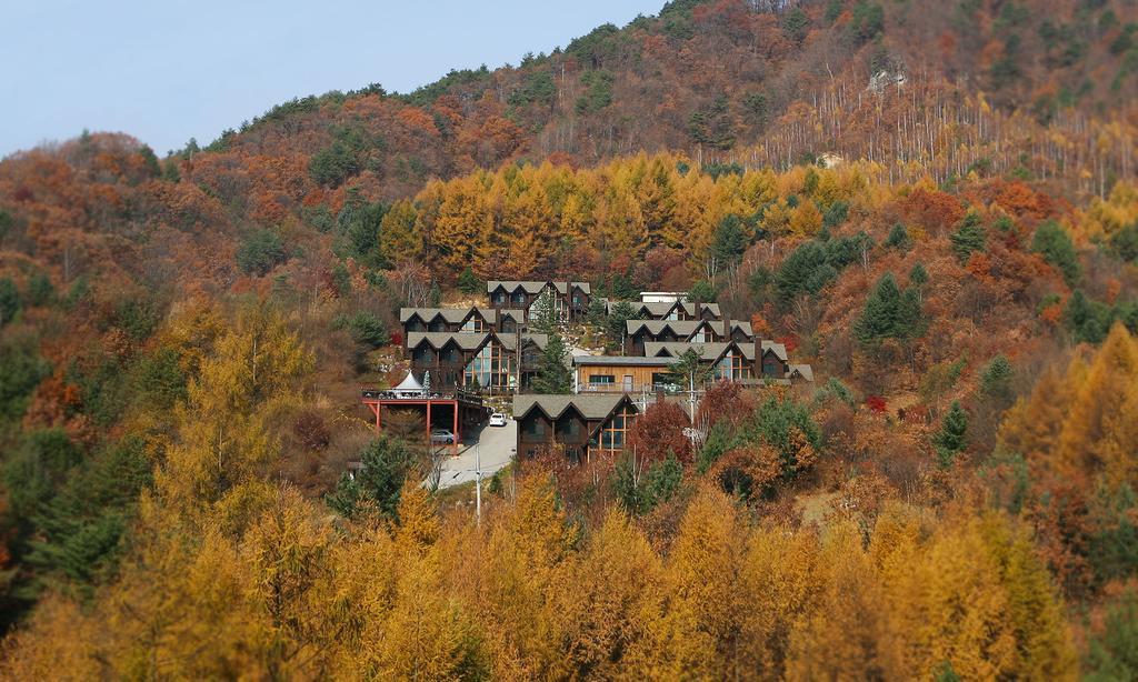 פיאונגצ'אנג Chalet Resort מראה חיצוני תמונה