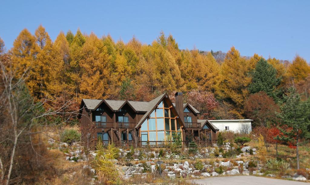 פיאונגצ'אנג Chalet Resort מראה חיצוני תמונה